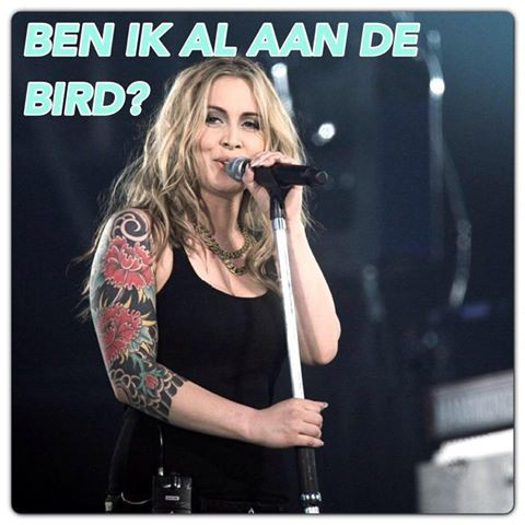 Anouk bird